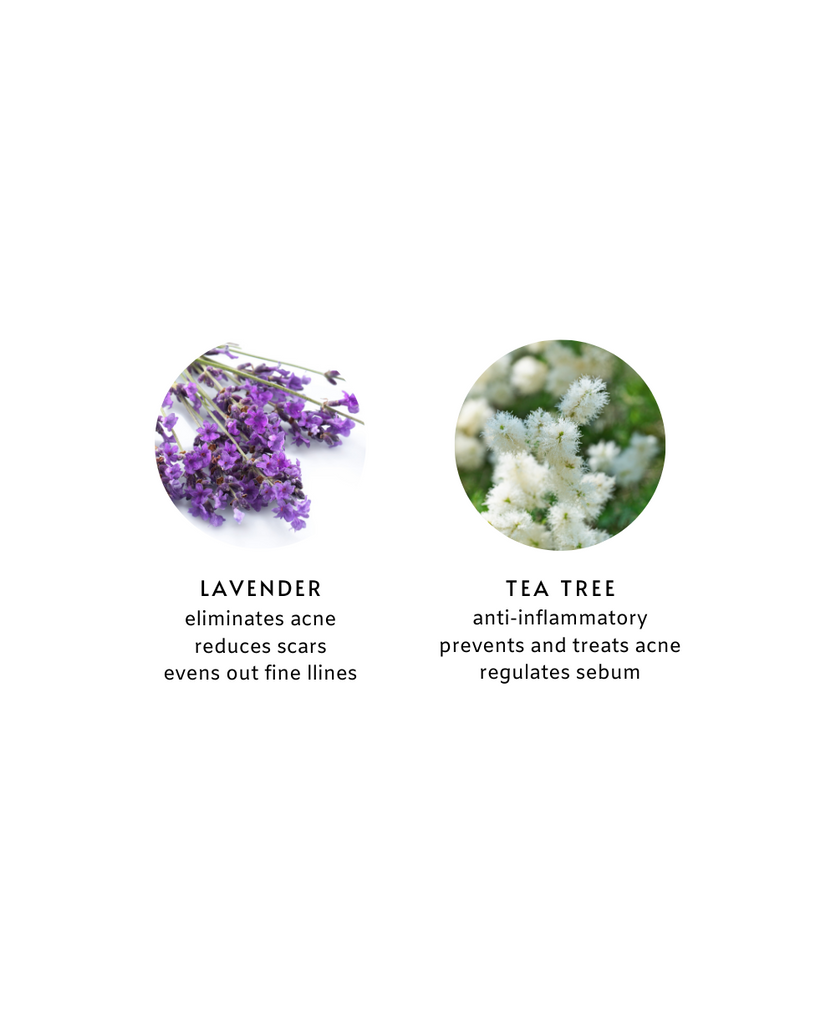H06 • FACIAL MIST  <br> lavender water + tea tree oil